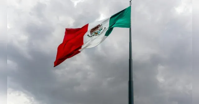 Imagem ilustrativa da notícia México registra 1º caso de H3N2, a chamada 'supergripe'