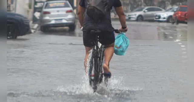 Imagem ilustrativa da notícia Belém recebe apoio internacional para solucionar alagamentos