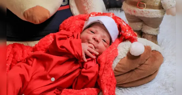 Imagem ilustrativa da notícia Veja! Ensaios fotográficos com recém-nascidos encantam em hospitais do Pará