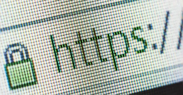 Imagem ilustrativa da notícia Dicas para não cair em golpes na semana do consumidor