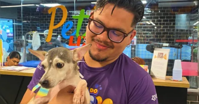 Imagem ilustrativa da notícia Feira de adoção garante lares para pets atendidos pelo Centro de Zoonoses