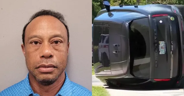Imagem ilustrativa da notícia Astro do golfe, Tiger Woods é preso após acidente na Flórida 