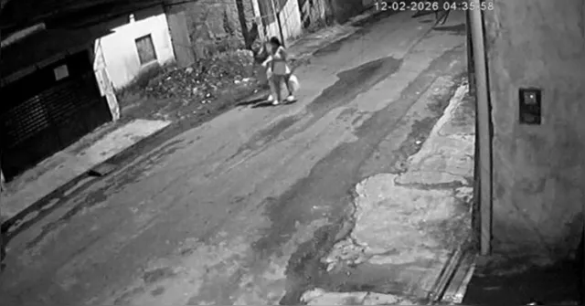 Imagem ilustrativa da notícia Vídeo ajudou na prisão de mulher que abandonou feto em Ananindeua