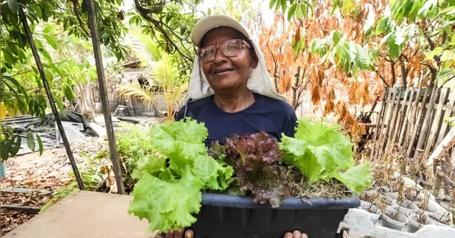 Imagem ilustrativa da notícia Mulheres lideram políticas de assistência social no Pará