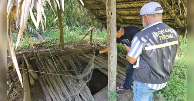 Imagem ilustrativa da notícia Brasil registra 271 resgates por trabalho análogo à escravidão em 2026