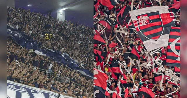 Imagem ilustrativa da notícia Remo se une ao Flamengo para discutir direitos de transmissão da Libra