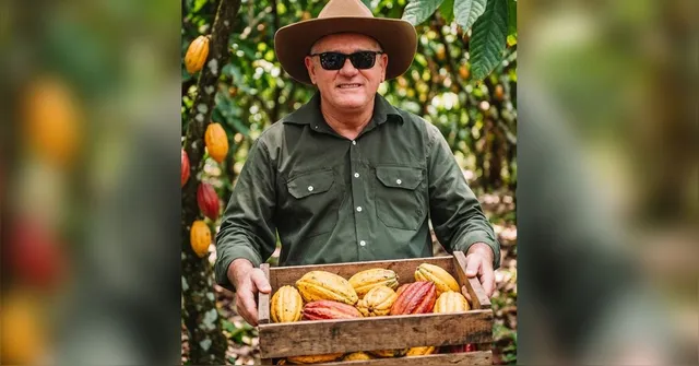 Imagem ilustrativa da notícia Pará celebra o Dia do Cacau como potência nacional
