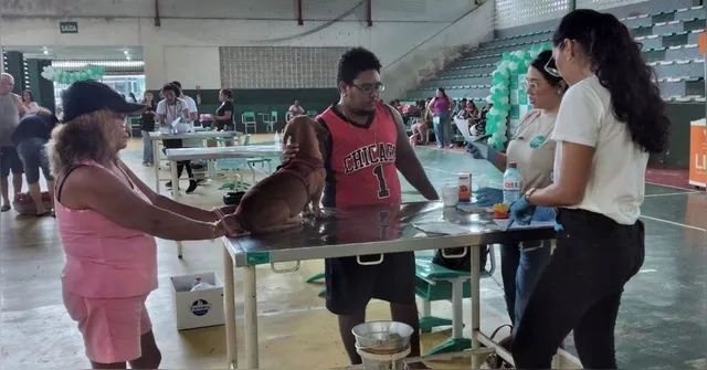 Imagem ilustrativa da notícia UFRA promove ação gratuita para pets em Belém