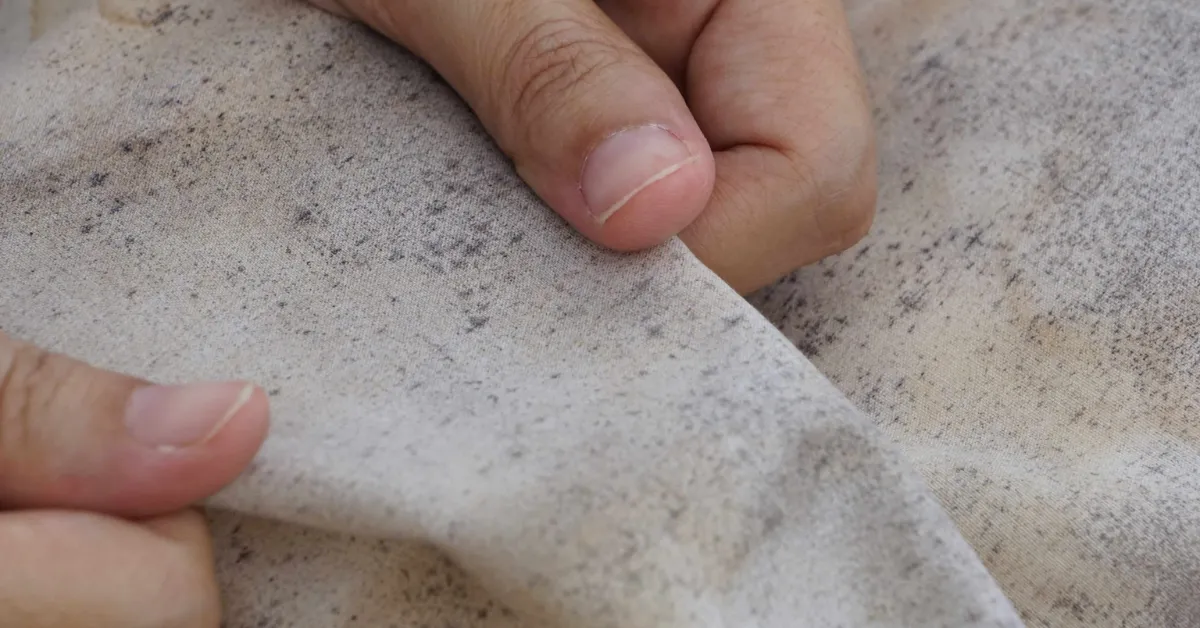 Umidade e falta de ventilação favorecem o aparecimento de bolor em roupas guardadas por longos períodos.
