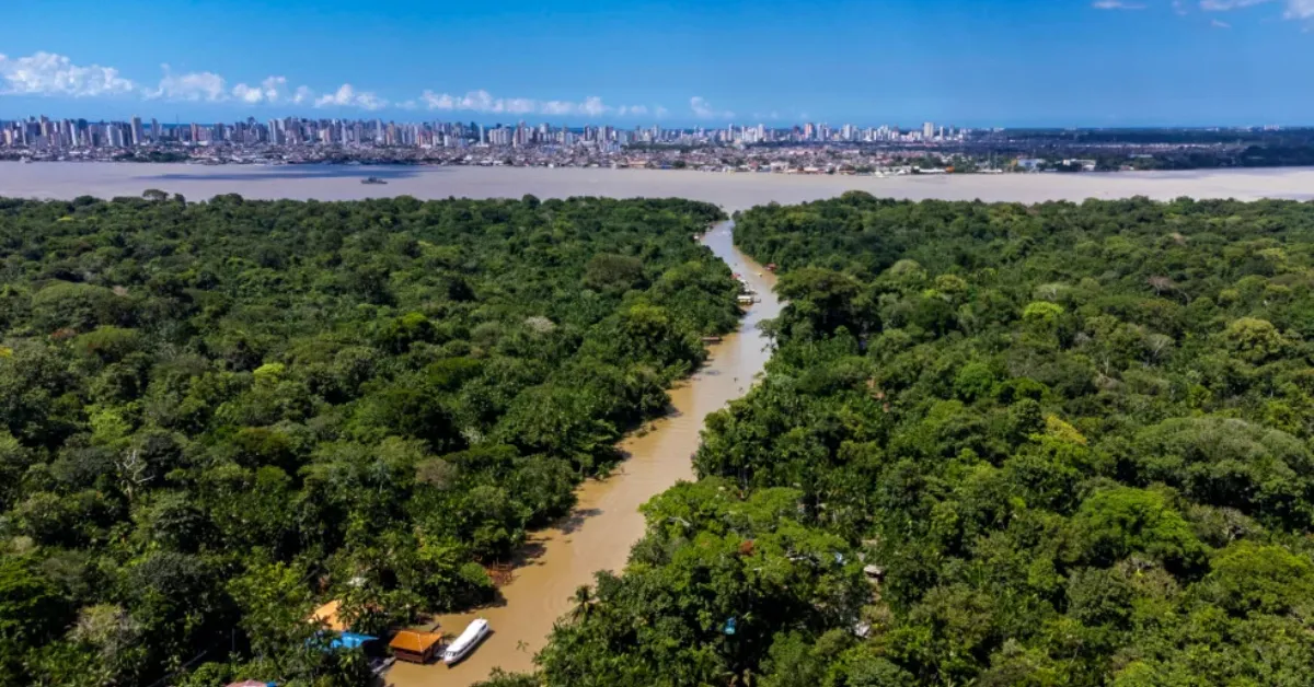 Setor impulsionado pela floresta, inovação e saberes tradicionais consolida o Pará como referência em desenvolvimento sustentável na Amazônia.