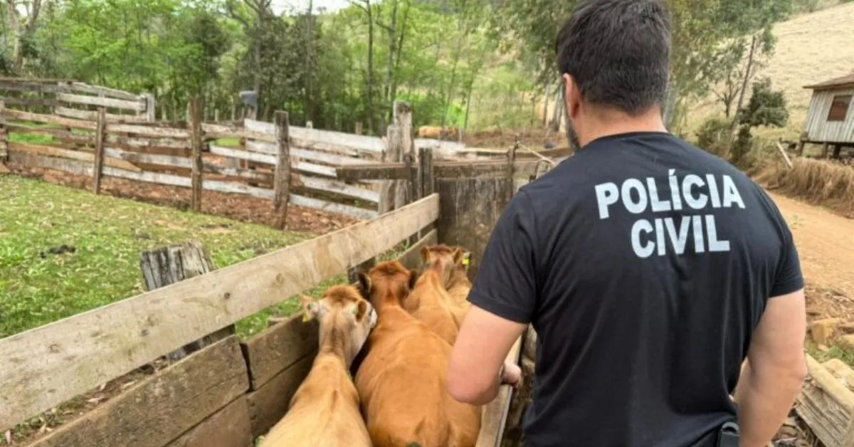 Nova delegacia Deleagro combate crimes rurais no Pará