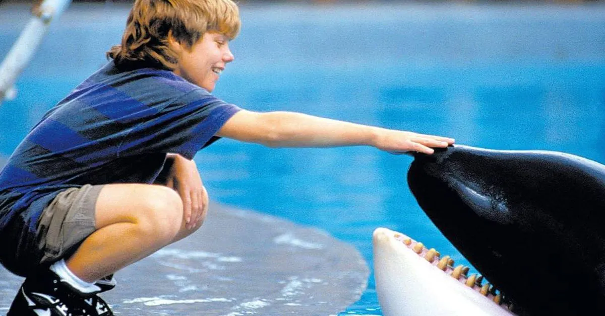 Free Willy conquistou o público ao contar a história da amizade de um garoto com uma orca