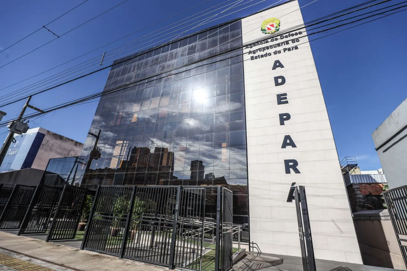 São oferecidas vagas para médico veterinário, engenheiro agrônomo, agente fiscal agropecuário (AFA) e assistente administrativo.