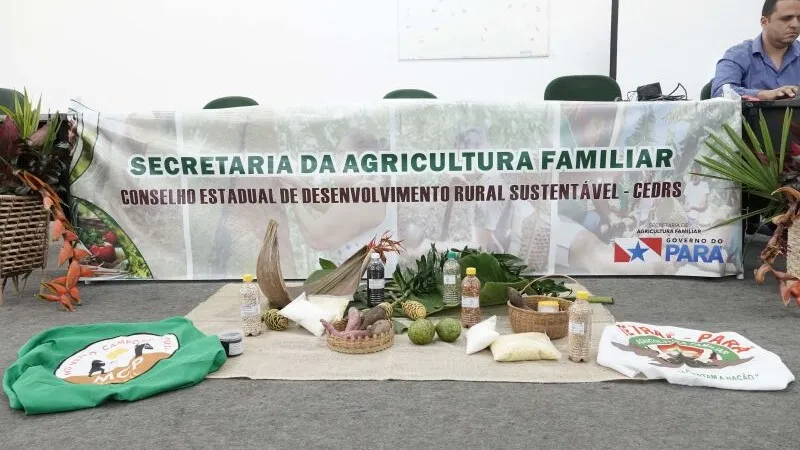 Secretaria de Estado da Agricultura Familiar abre vagas de emprego no Pará; veja salário e como se inscrever!