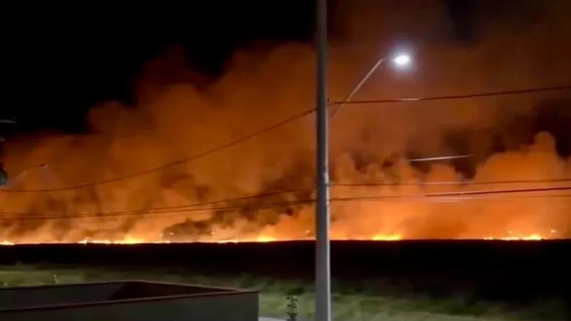 Incêndio de grandes proporções atinge vegetação em Xangri-Lá, RS; veja detalhes.