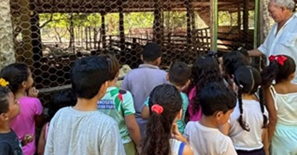O novo pacote também reacende o debate sobre o papel da educação ambiental nas escolas brasileiras
