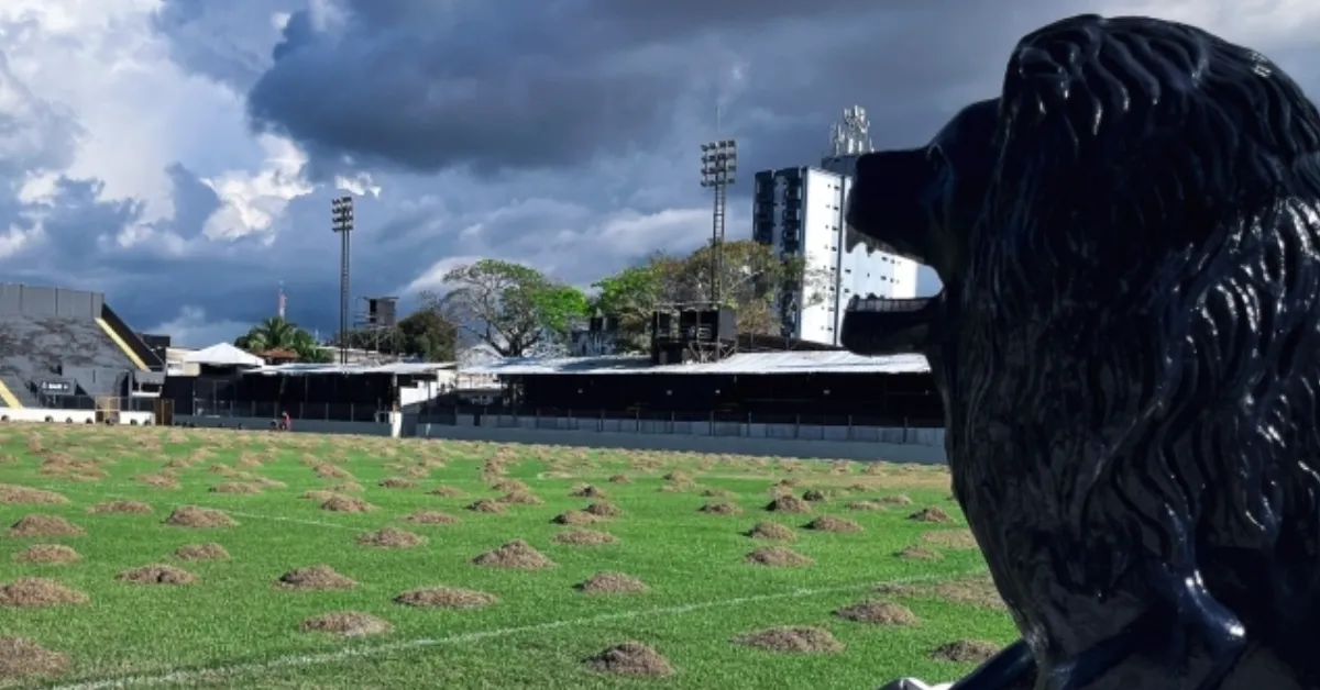 Durante a pausa no calendário nacional, o Remo intensifica melhorias no Banpará Baenão, com manutenção do gramado e intervenções em setores utilizados pelo elenco azulino.