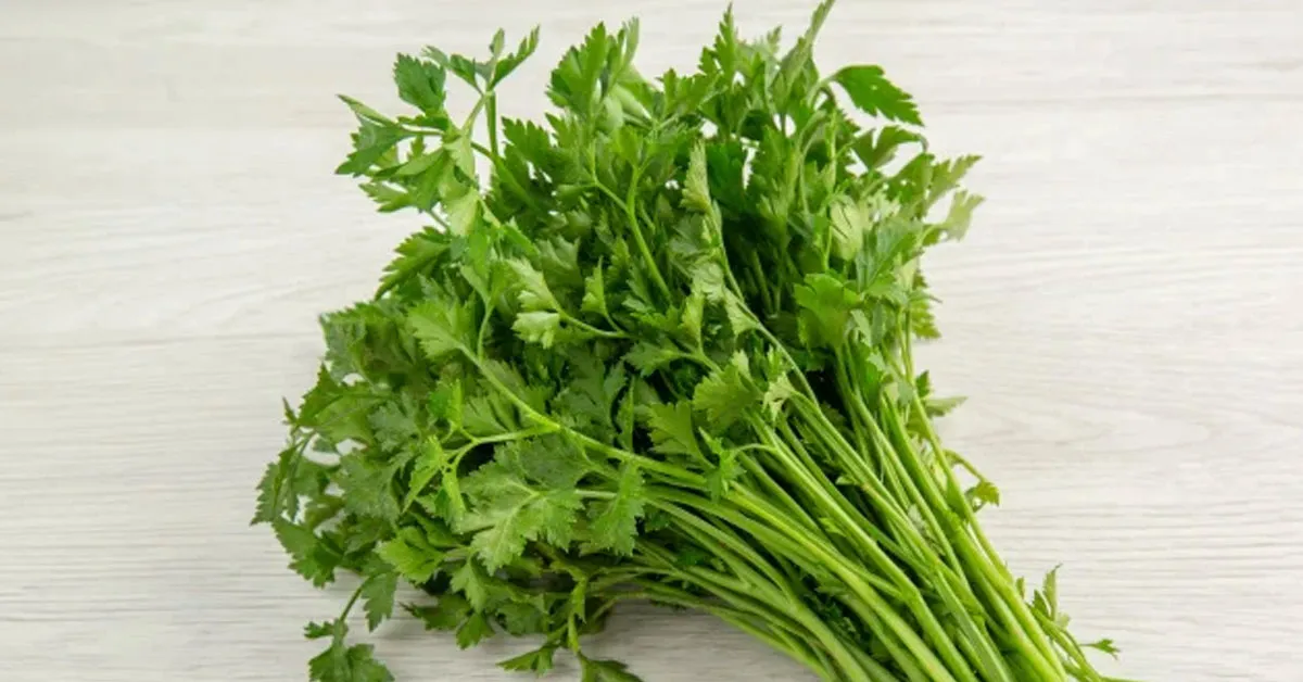 Aprenda a usar esse truque do jeito certo na hora de armazenar o cheiro verde