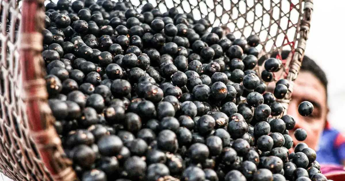 A liberação contempla produtos derivados de frutas