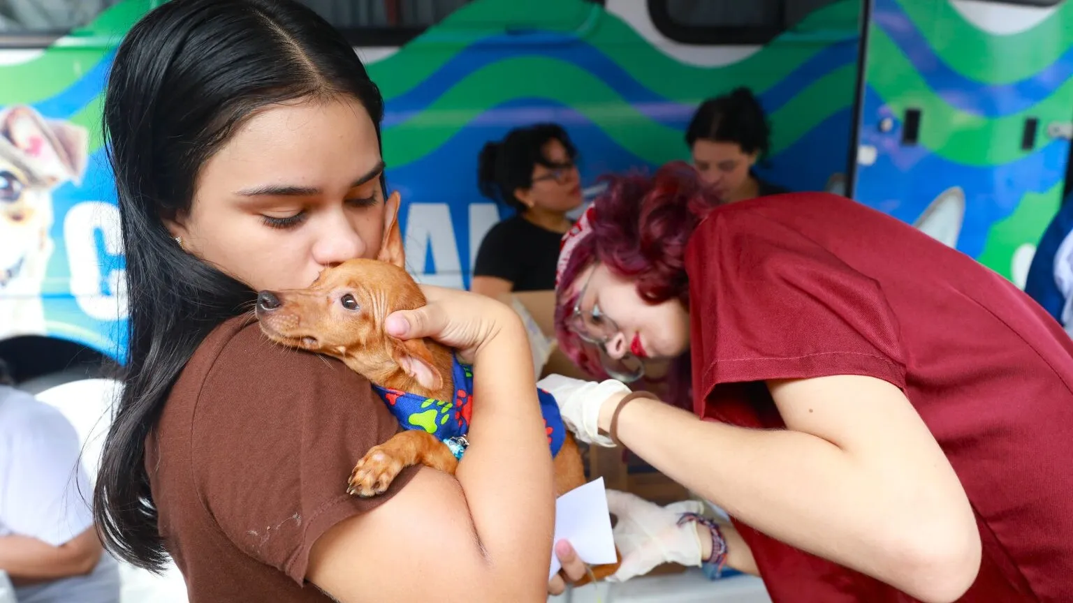 Durante a comemoração dos 131 anos de Mosqueiro, a Prefeitura de Belém oferece atendimento veterinário gratuito para cães e gatos de 5 a 10 de julho.