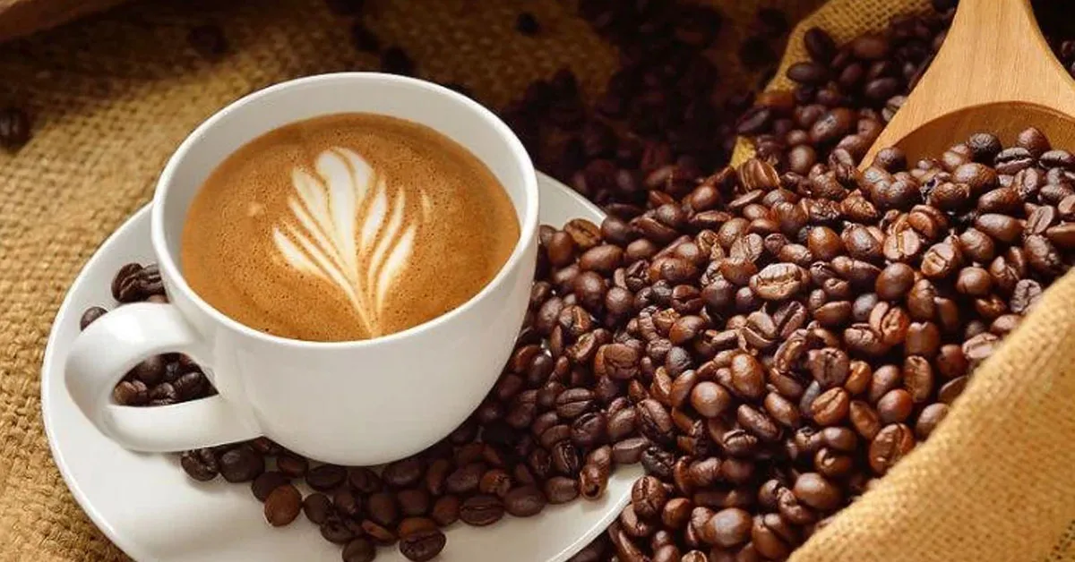 Todos os tipos de café possuem antioxidantes, minerais e compostos associados à proteção do coração e do cérebro.