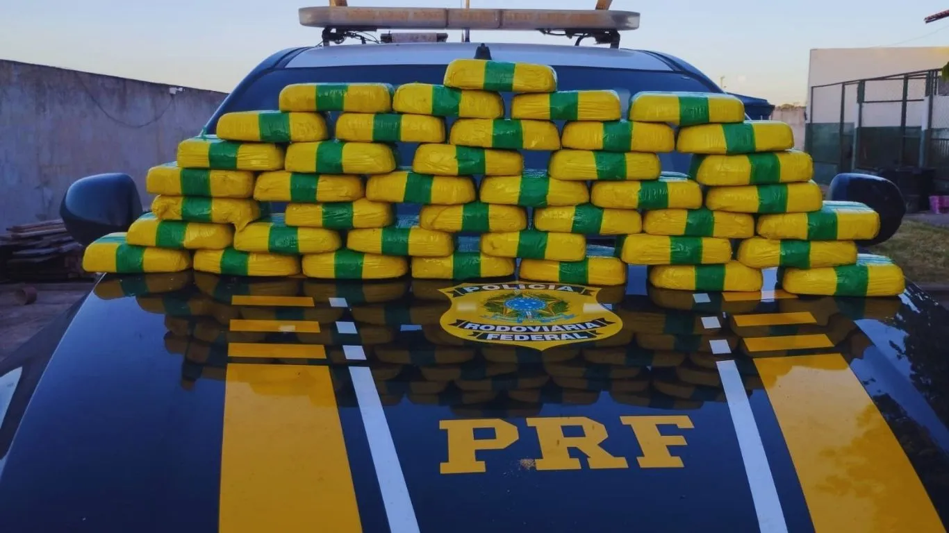 Carga, avaliada em mais de R$ 5 milhões, estava escondida no painel de um Fiat Mobi; cão farejador da Guarda Municipal ajudou a descobrir o entorpecente.