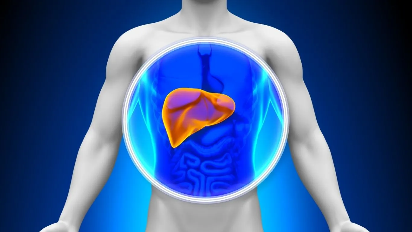 Gastroenterologista Maria Júlia Colossi aponta ultraprocessados e sedentarismo como os maiores vilões para o aumento da esteatose hepática de 18 a 29 anos.