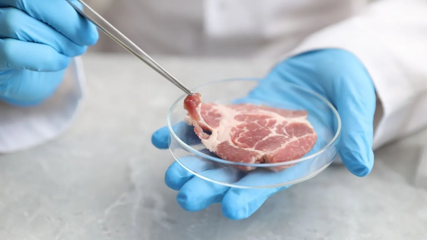 Técnica cultiva células animais sem necessidade de abate; protótipos de frango e salmão em 3D já são testados no país.
