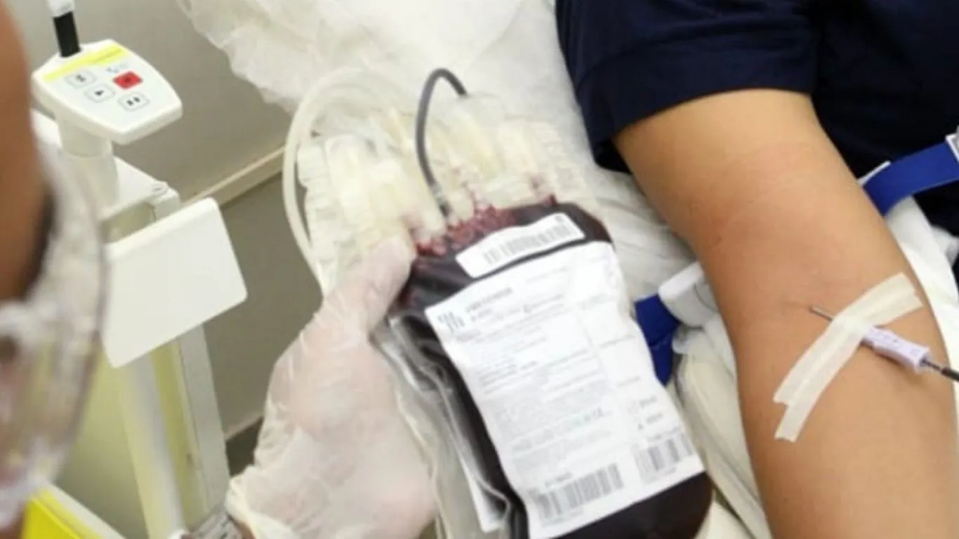 Doar sangue é um gesto de solidariedade que pode salvar vidas