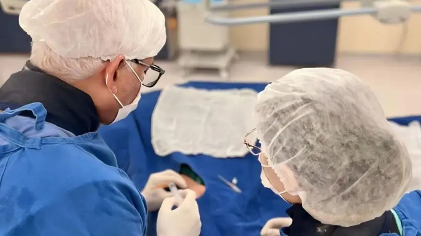 O Hospital Regional do Sudeste do Pará – Dr. Geraldo Veloso (HRSP) alcançou um marco significativo na assistência à saúde pública.