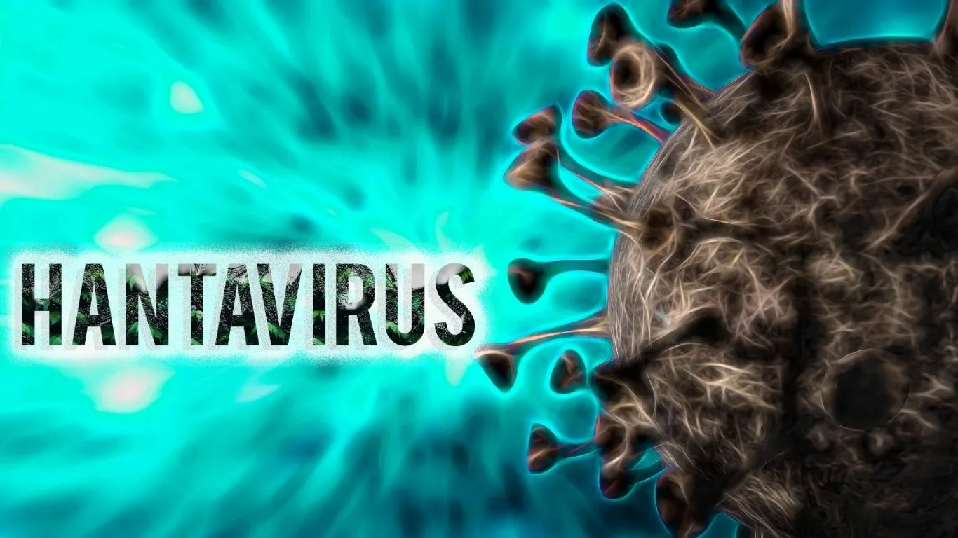 O Hantavírus, agente causador de doenças graves que comprometem os sistemas respiratório e renal