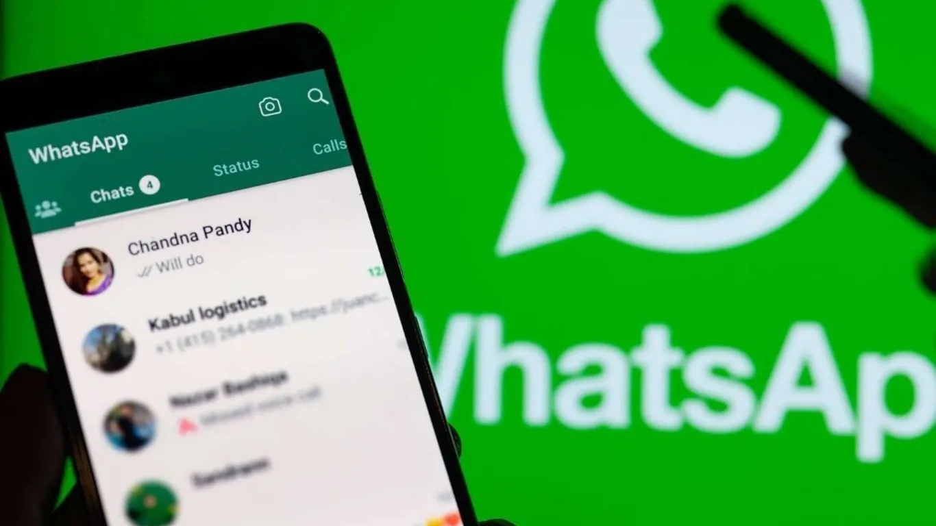 O bot "Tá Certo Isso Aí?" permite checagem em tempo real de textos, áudios e vídeos