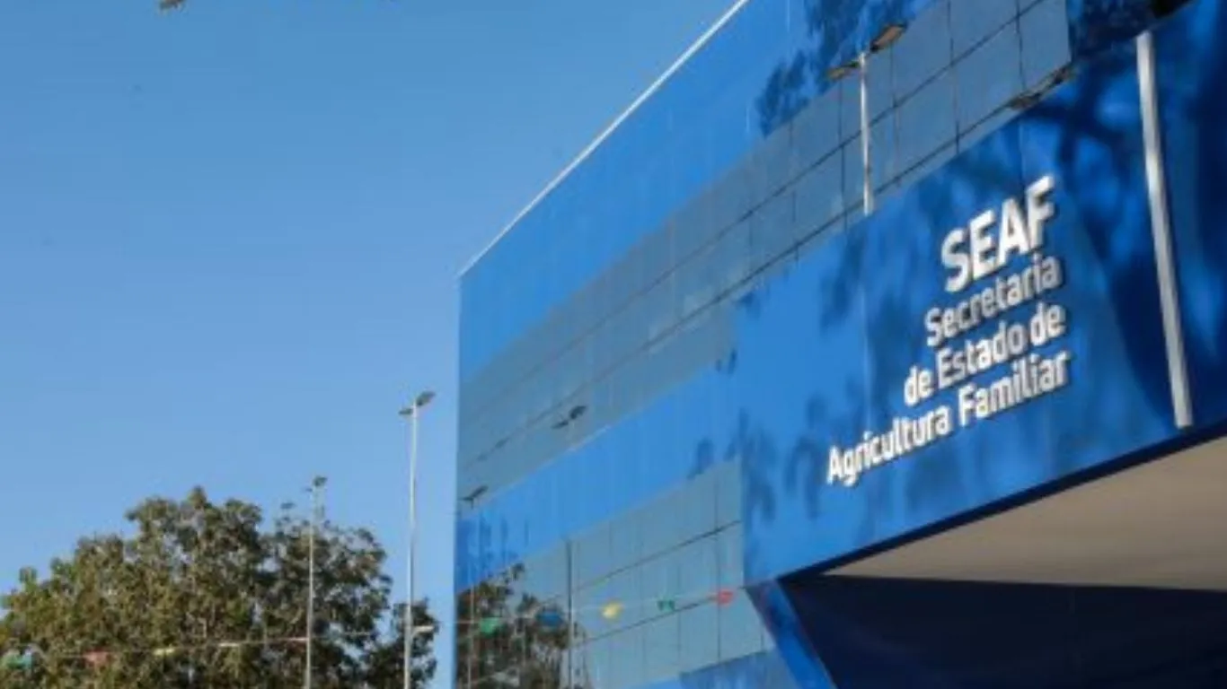 As oportunidades são para níveis médio e superior, com inscrições gratuitas abertas até o dia 25 de maio.