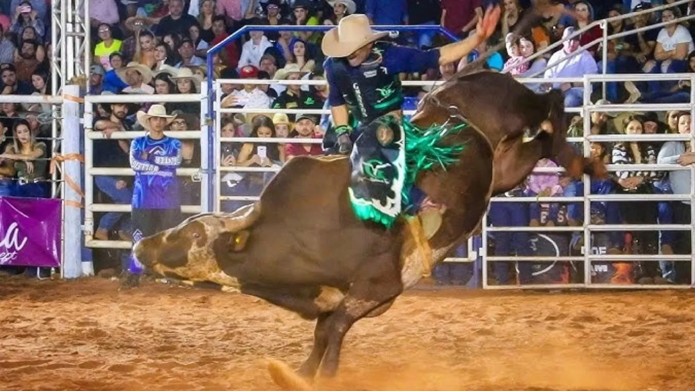 Rodeio profissional é um dos atrativos da festa