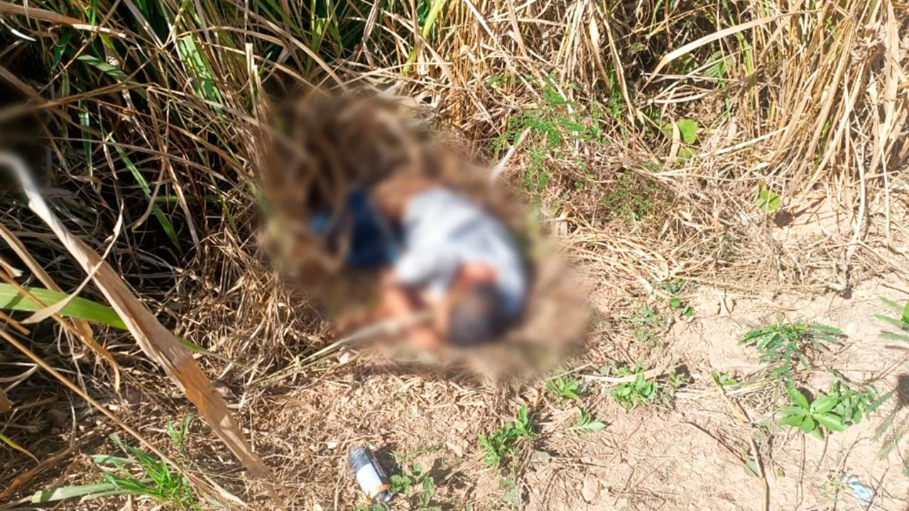Equipes das polícias Militar e Civil isolaram o trecho conhecido como "Curva do S", logo após a Agrovila do Cuca, para realizar os procedimentos de investigação.