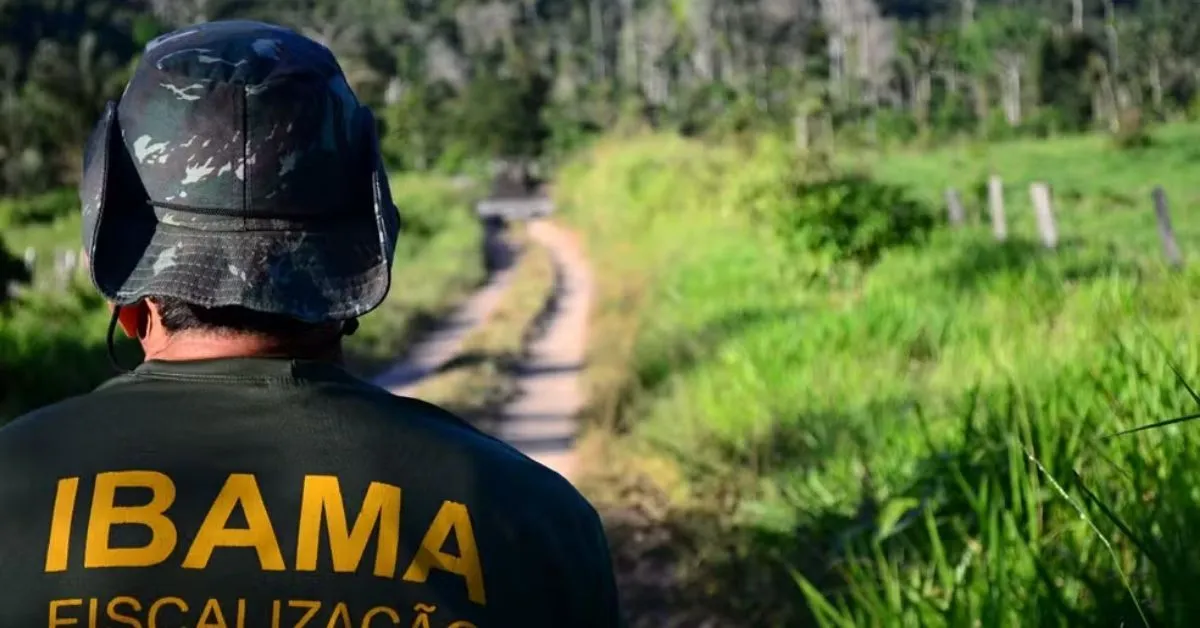O Ibama está entre as muitas oportunidades na área ambiental