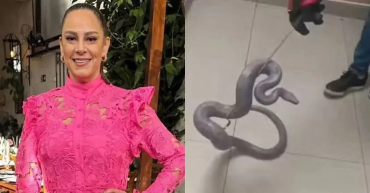 O caso de Silvia ilustra um risco real para quem mantém répteis em casa.