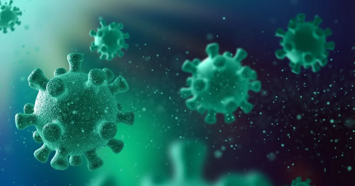 Organização Pan-Americana da Saúde (OPAS) reforça que a circulação da influenza está sendo monitorada com atenção.