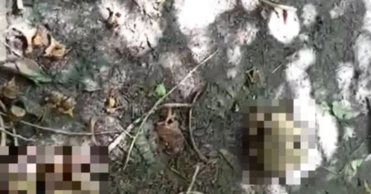 Polícia Militar isolou a região até a chegada das equipes de investigação.