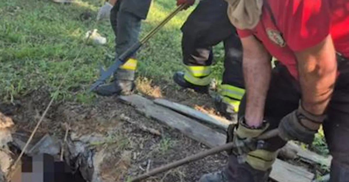 O Corpo de Bombeiros encontrou o corpo dentro da fossa em uma área rural