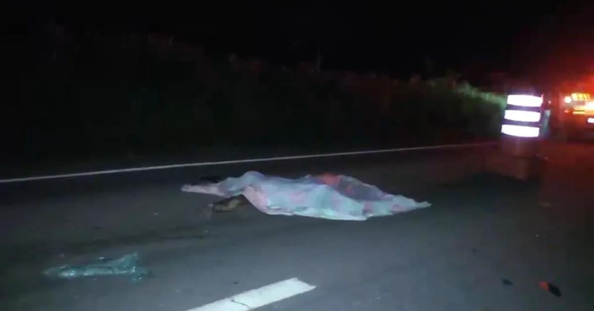 O motociclista colidiu de frente com o ônibus e morreu na BR-010