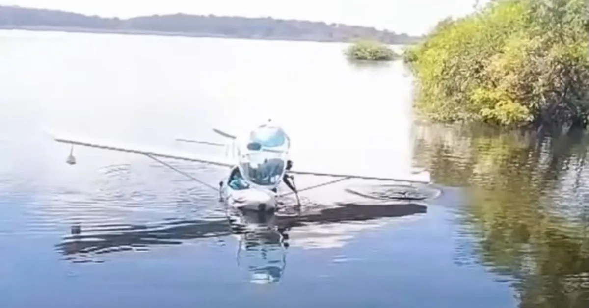 Do céu para o rio: piloto voltou à margem com ajuda de um remo