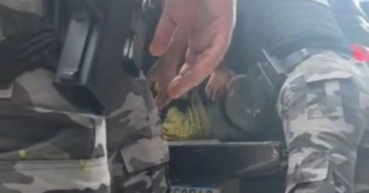 Policiais da Rotam ainda levaram o suspeito na viatura, mas ele não resistiu