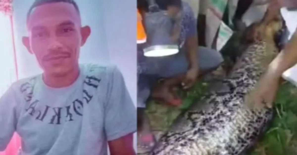 Após dias desaparecido, o homem foi encontrado no estômago da cobra