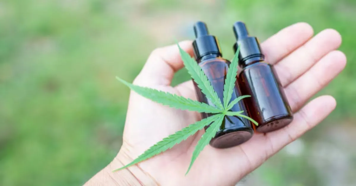 O movimento realizou, de forma gratuita, 126 consultas médicas e distribuiu 221 óleos de canabidiol.