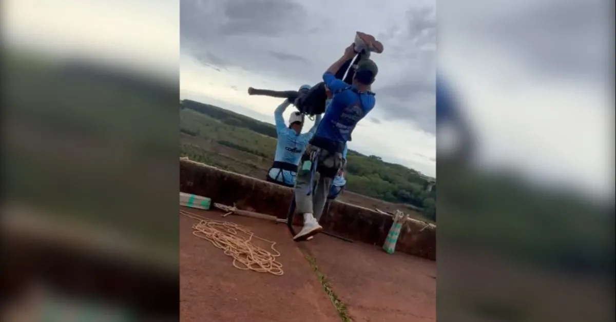 Maria Eduarda, de 21 anos, morreu após ser arremessada de uma ponte enquanto praticava Rope Jump em SP.