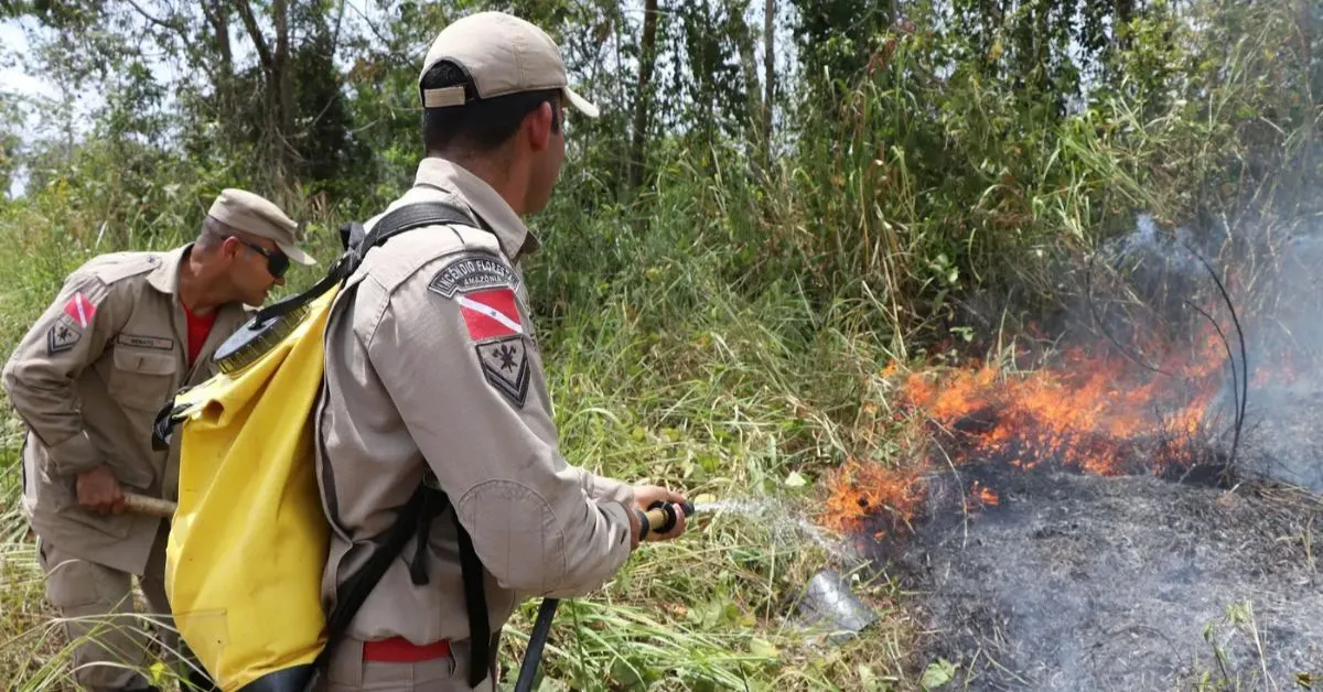 Brigadistas florestais atuarão em regiões prioritárias do Pará.