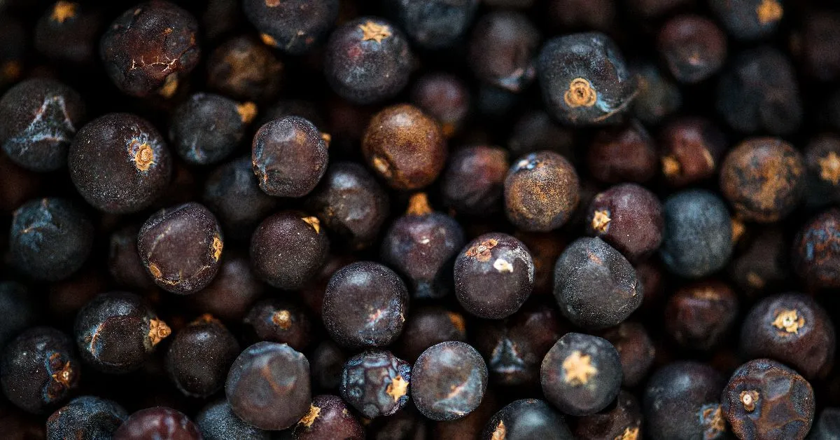 Projeto reconhece a importância dos trabalhadores responsáveis pela colheita, despolpa e preparo do açaí, atividade essencial para milhares de famílias amazônicas.