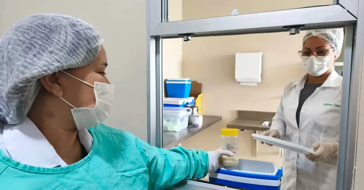 O Banco de Leite Humano (BLH) do Hospital Materno-Infantil de Ananindeua Anita Gerosa completou dois meses de funcionamento com resultados expressivos