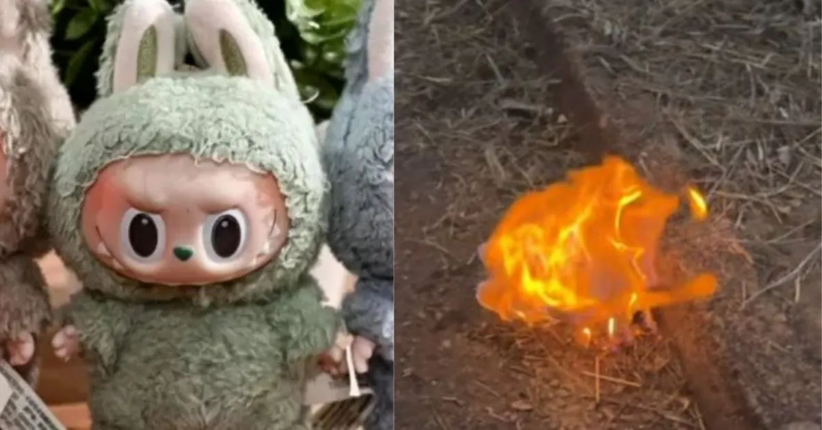 Kelly Danese mostrou nas redes sociais o momento em que queimou um boneco Labubu após comentários de internautas sobre o brinquedo ter resistido ao incêndio na casa da família.